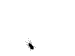 Holtek