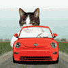 miszczo997