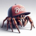 dressyspider