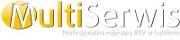 MULTISERWIS
