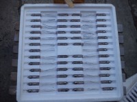 Lampa paluszkowa 6Ż45B-W NOS